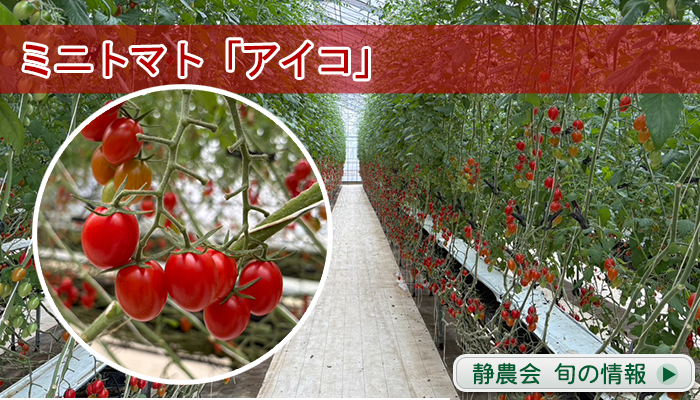 �~�j�g�}�g�u�A�C�R�v ����